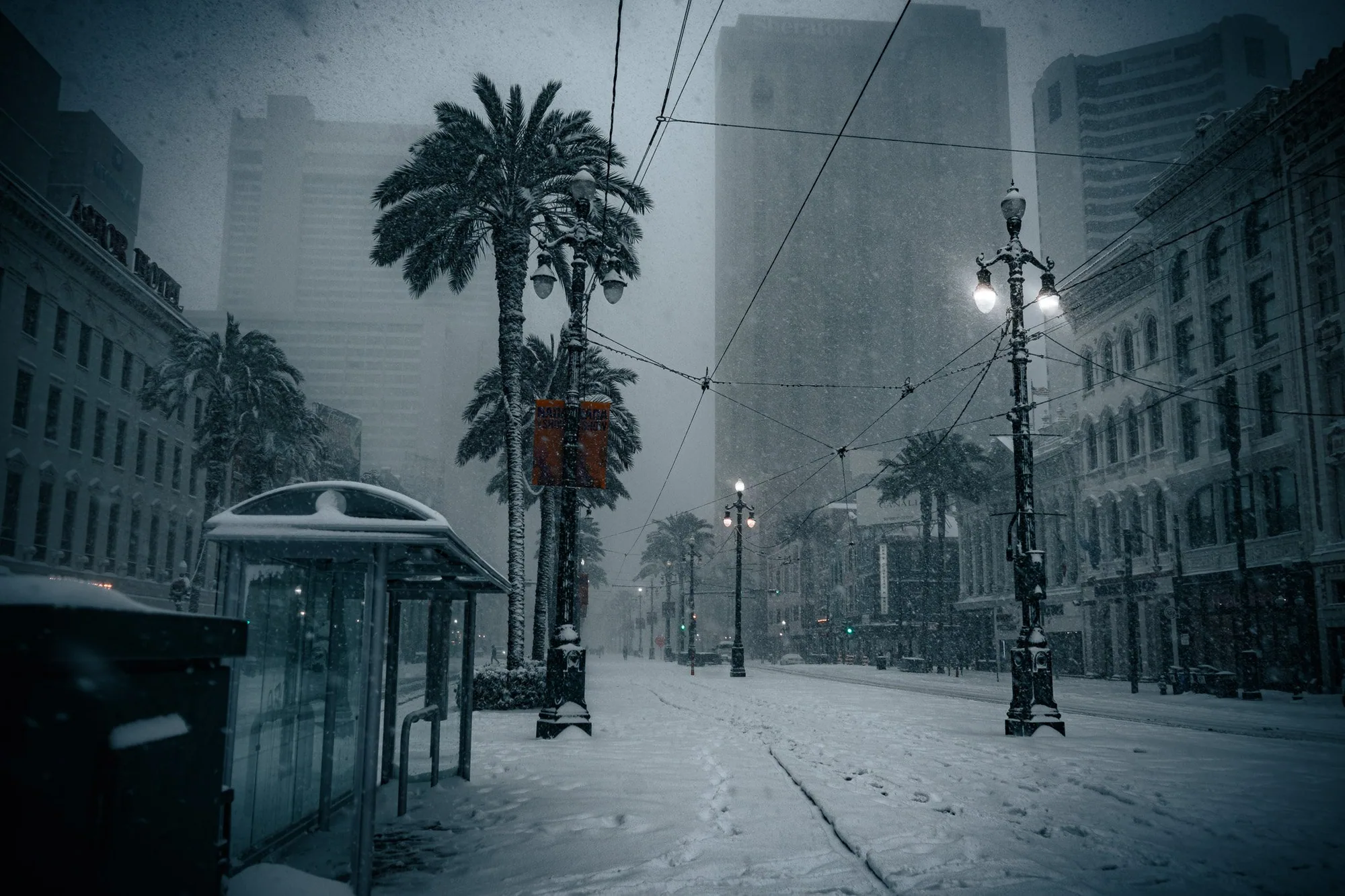 Photography by Ron Domingue — 131