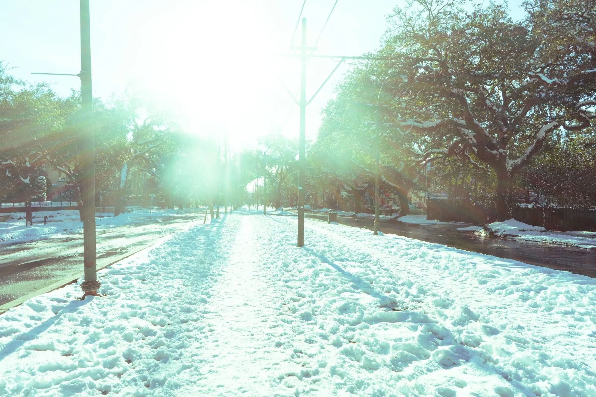 Photography by Ron Domingue — 135