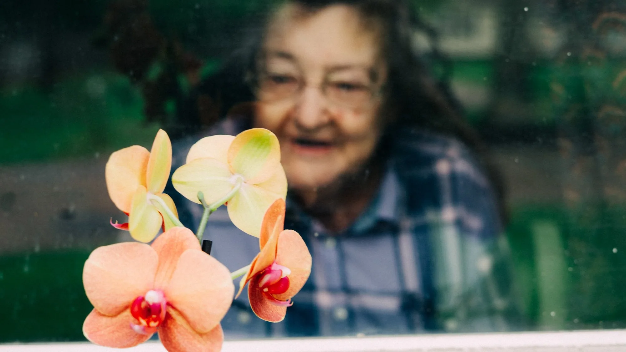 Photography by Ron Domingue — 149
