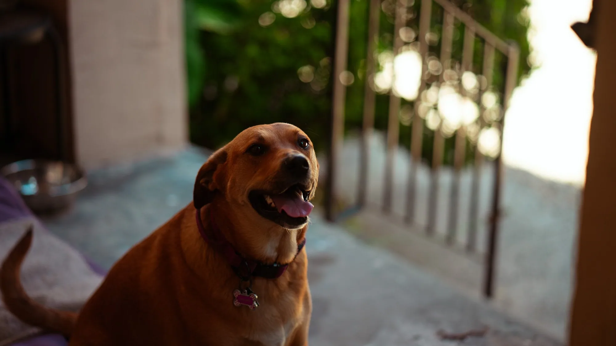 Photography by Ron Domingue — 181