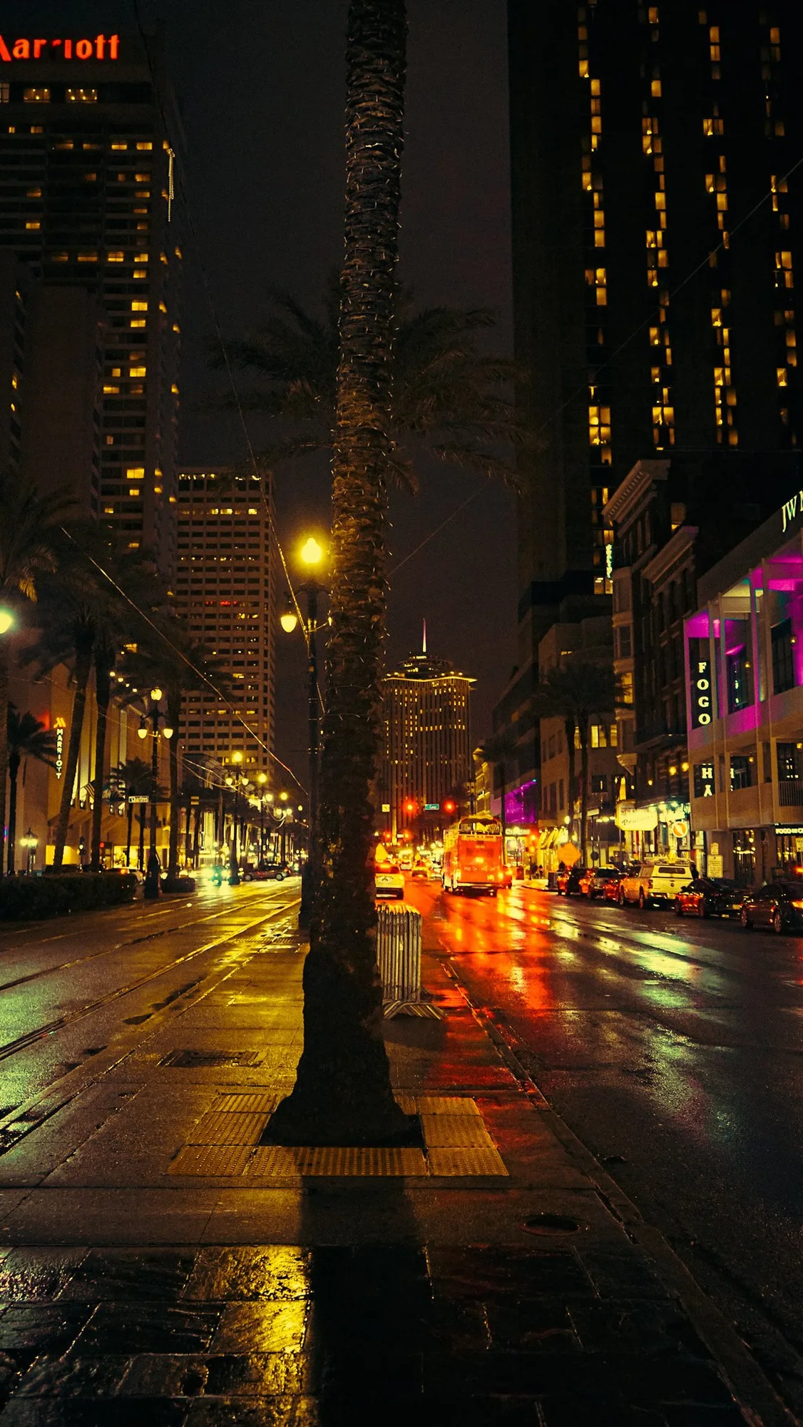 Photography by Ron Domingue — 173