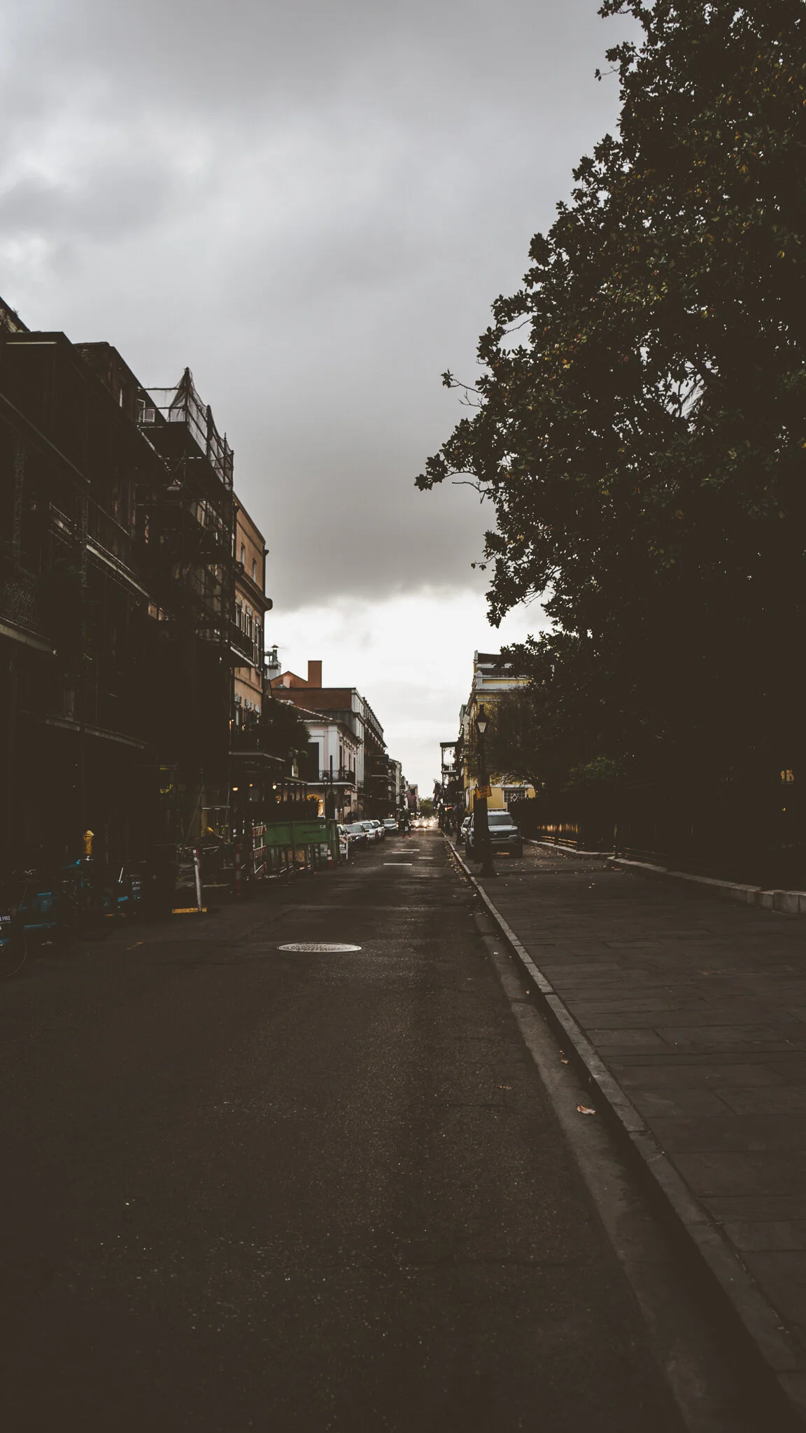 Photography by Ron Domingue — 12