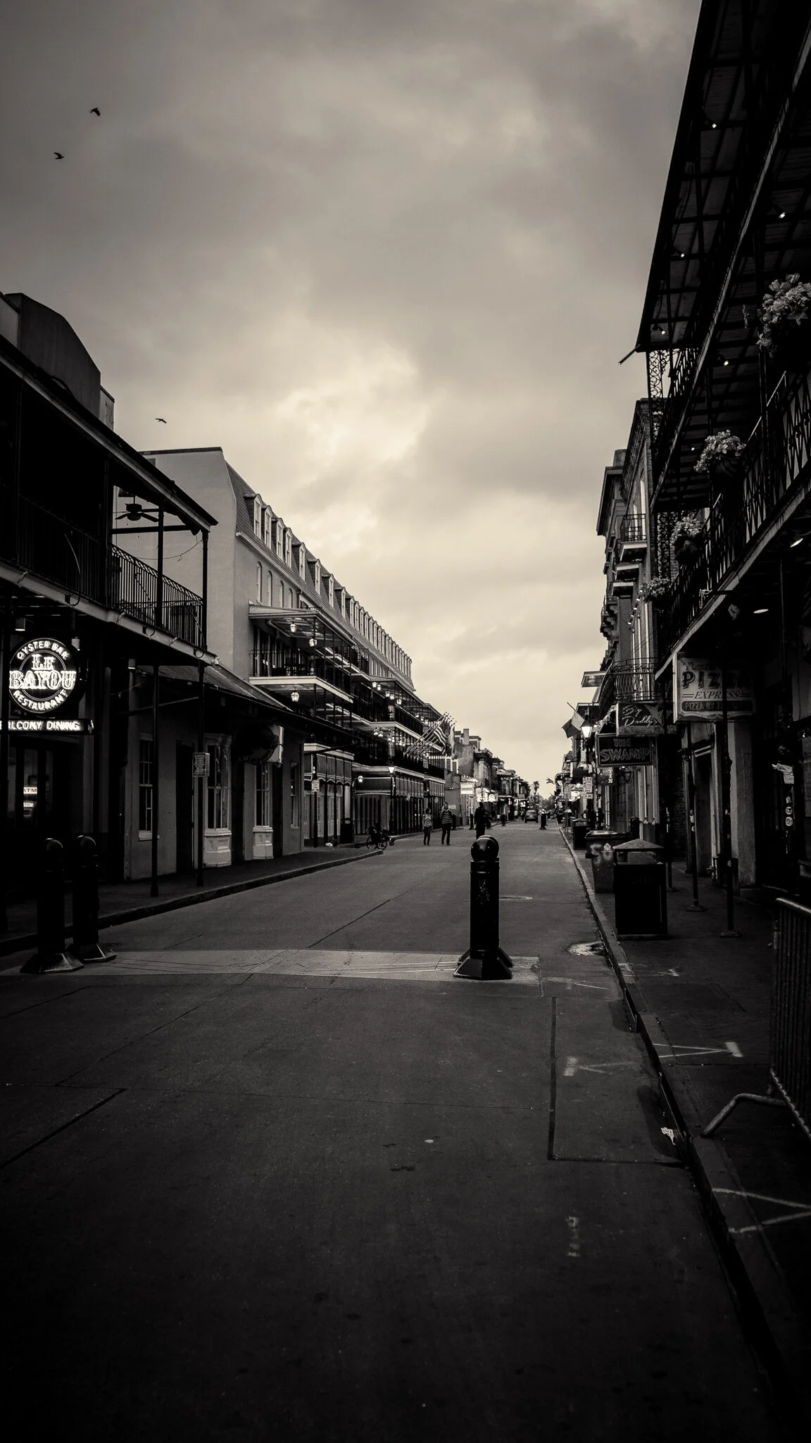 Photography by Ron Domingue — 21